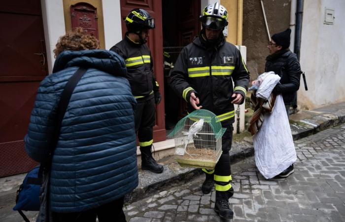 Firefighters rush to save parrots and pets as Sicilian town reels from cliff‑edge collapse