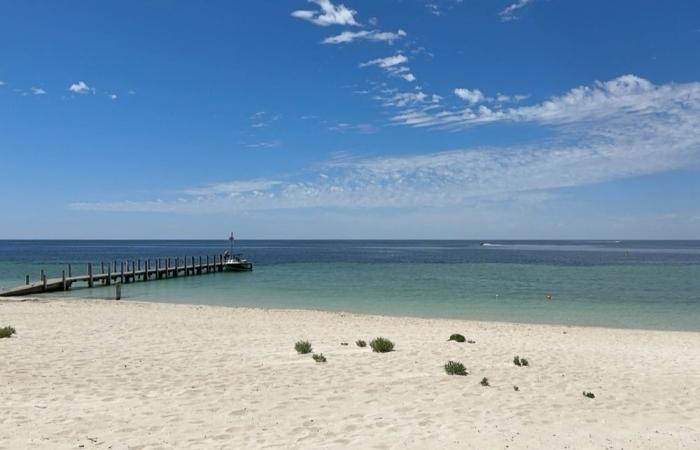 ‘Not today’: ‘Superhuman’ Australian teen swims four hours to save mother and siblings swept out to sea