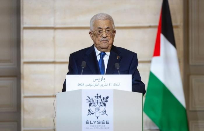 Palestinian president Abbas calls first-ever PLO parliament elections