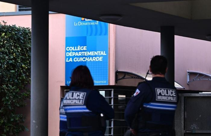 Teen knifeman arrested after art teacher is left critically injured in school attack in France