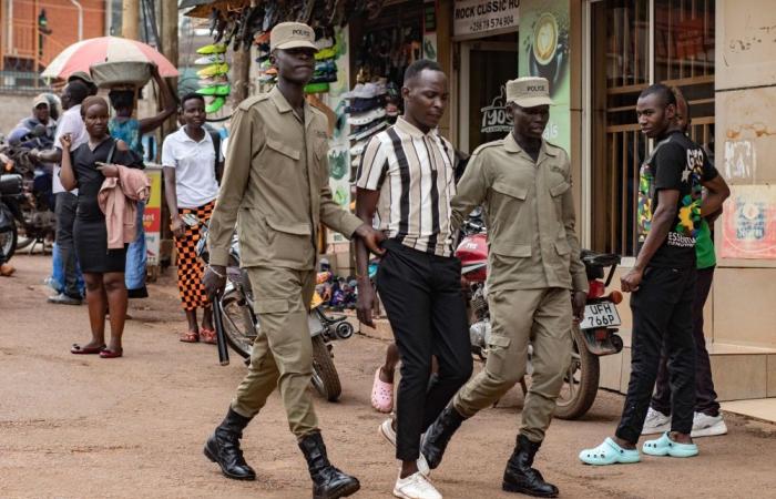 ‘Censorship as a service’? China's great firewall technology spreading globally