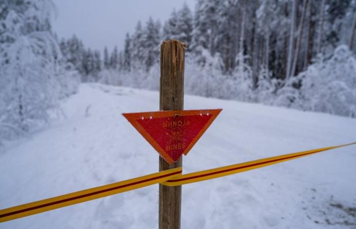 In Finland's forests, soldiers re-learn how to lay anti-personnel mines as Russia threat grows