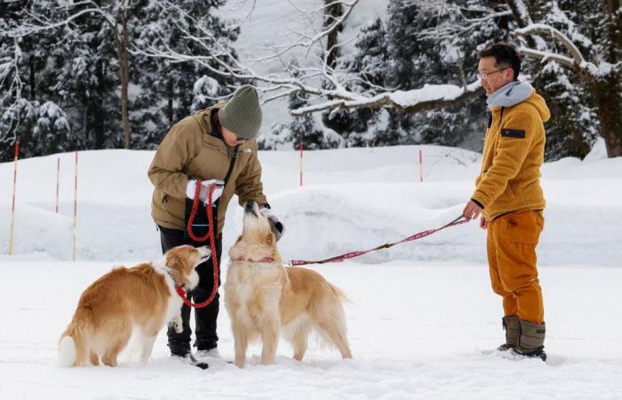 Key issues as Japan counts votes: Sanae Takaichi’s majority, market fears and China tensions