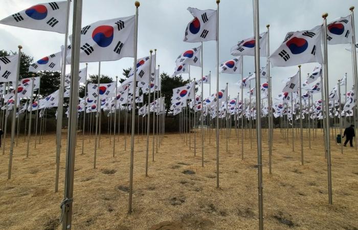 S. Korean province says sorry after mayor calls for ‘import’ of South-east Asia brides to boost birth rate