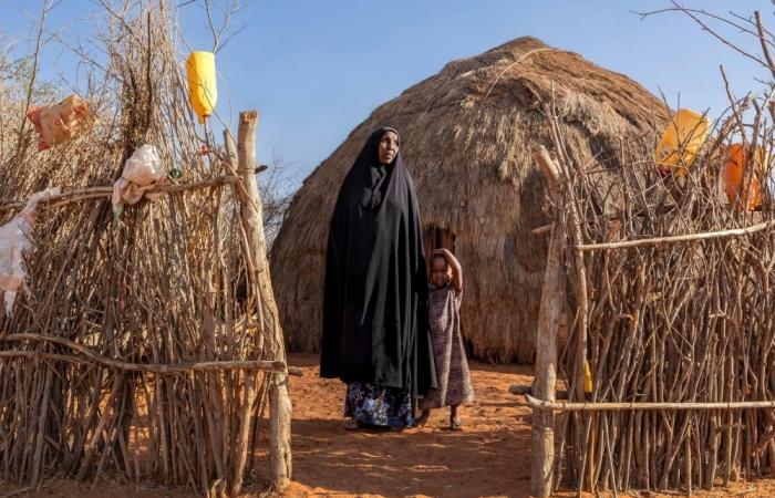 Neglected killer: Kala-azar disease surges in Kenya