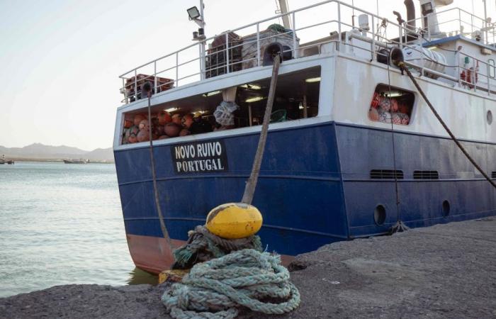 ‘How can we just be abandoned?’: Indonesian fishers stuck on boat in Africa as shipowner flees with passports, wages unpaid