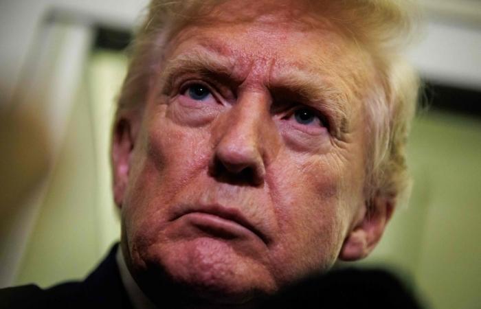 FBI election probe in Georgia launched by Trump advisor, according to affidavit