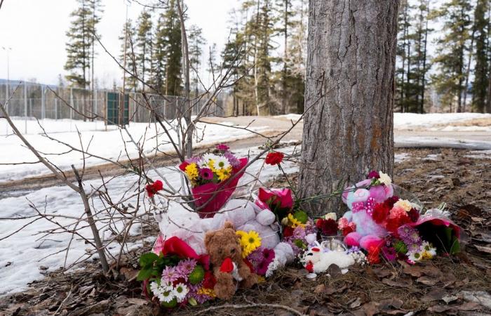 Canada police: 18‑year‑old behind mass shooting, killed mother and stepbrother before school attack