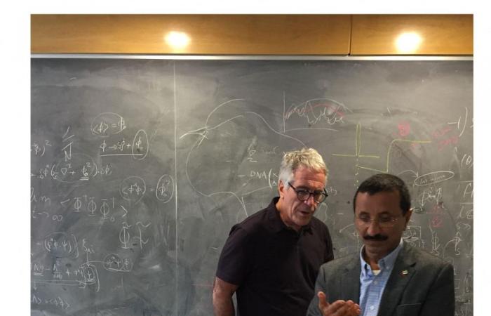 Who is Sultan bin Sulayem, Emirati businessman linked to Epstein files?