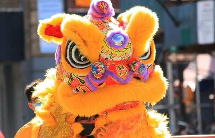 Bangkok police disguise as lion dancers to arrest suspect in US$64,000 Buddhist artefact theft case
