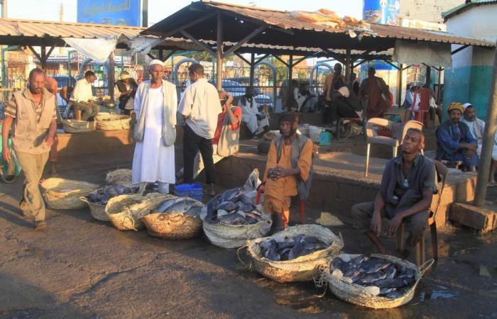 EU, UK, Canada condemn potential ‘crimes against humanity’ in Sudan conflict