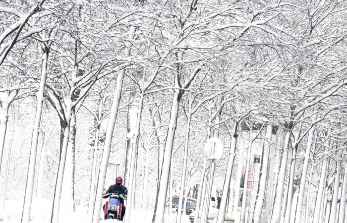 Five dead as major snowstorm batters Austria, triggers avalanches and travel chaos