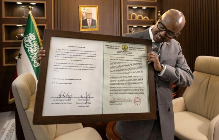 Looking for friends: Somaliland dangles minerals and military access to US