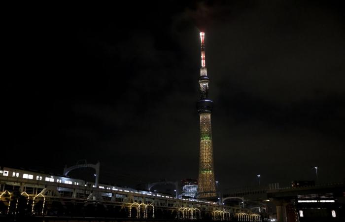 Lifts malfunction in Japan’s tallest building, Tokyo Skytree, trapping 20 visitors for five hours (VIDEO)