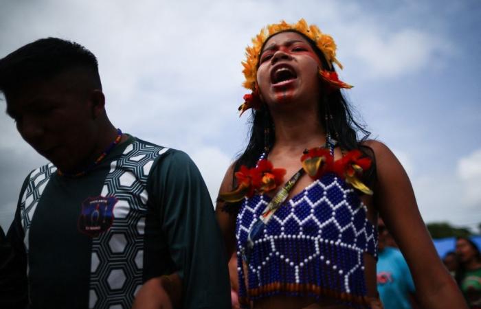 Brazil backs down on Amazon port expansion after Indigenous protests