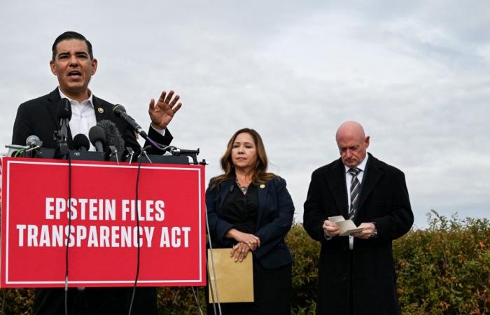 Democrats accuse US govt of ‘largest cover‑up in modern history’ over Trump sex abuse claims