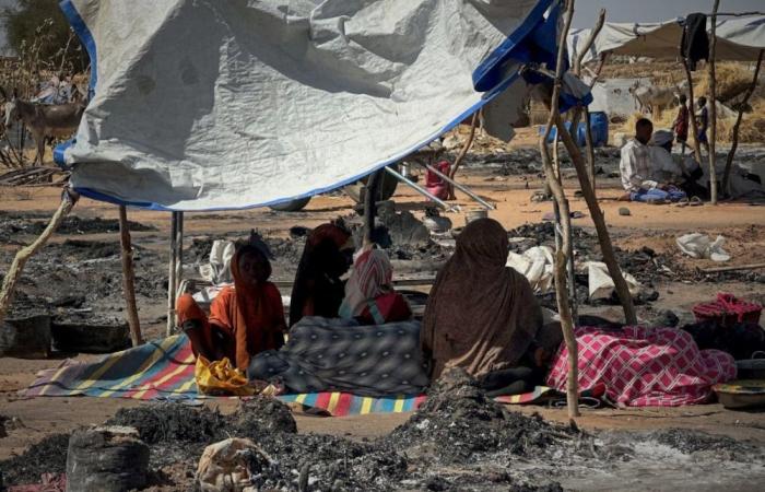 ‘Bloody and senseless’: Civilian deaths in Sudan war more than double in 2025, UN warns