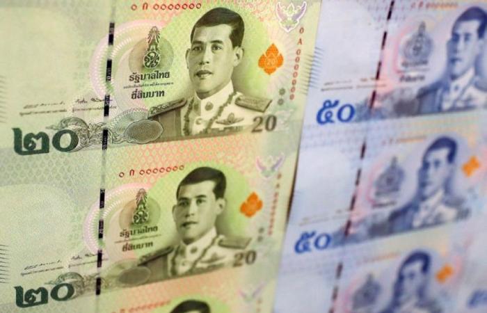 Thai police hunt South African businessman, wife accused of RM118m global fraud