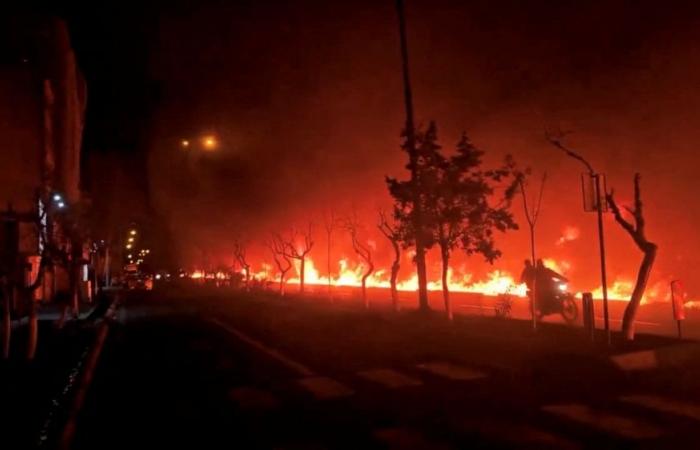 World in ‘new dark age’ of abuses as US ‘rains death’ on Iran, Venezuela, says UN expert