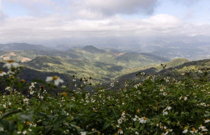 Myanmar’s post-coup parliament sits packed with junta allies