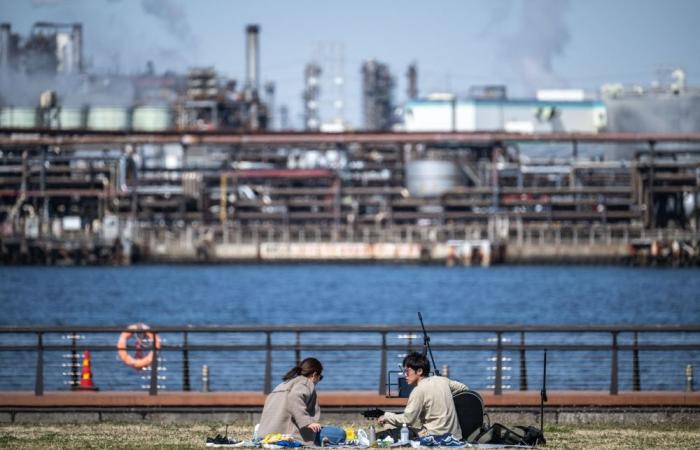 Japan court says restrictive sterilisation law ‘lacks rationality’