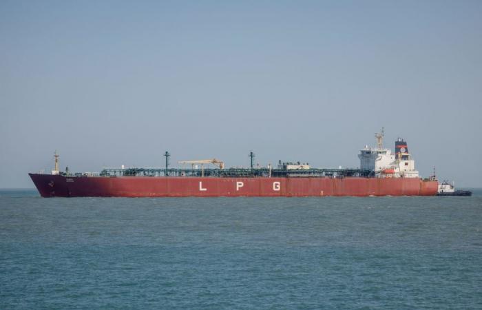 US president accuses allies of ingratitude after refusing Hormuz warship deployments