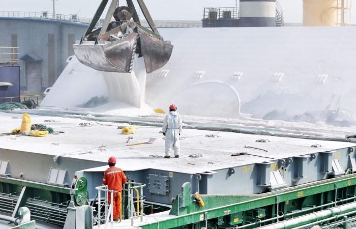 How does the Iran war affect fertiliser supplies, prices and food security?