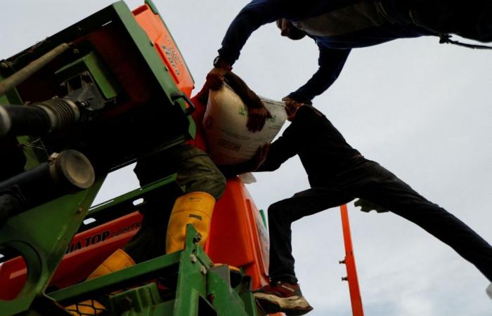 How does the Iran war affect fertiliser supplies, prices and food security?