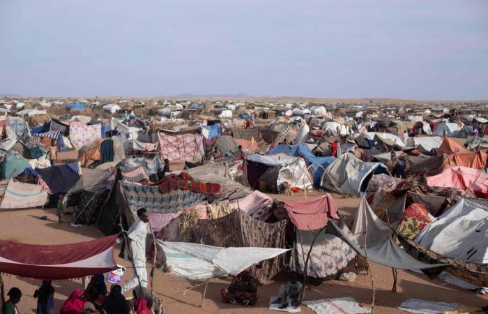 ‘They beat us with whips’: Sudan RSF detainees tell of horrors in El-Fasher