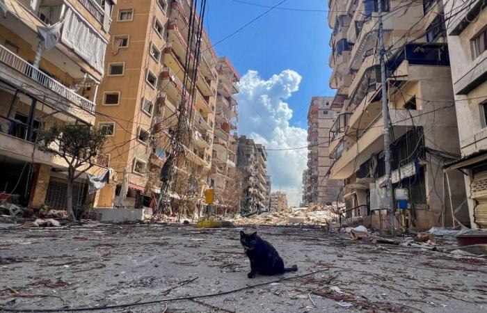 US unpredictability impacts our interests, France army chief says