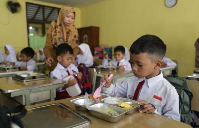 Indonesia eyes RM9b saving as free meals for schoolchildren cut from six days to five, says official