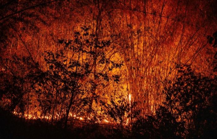 ‘It’s suffocating’: Why Chiang Mai’s air is among the world’s worst right now