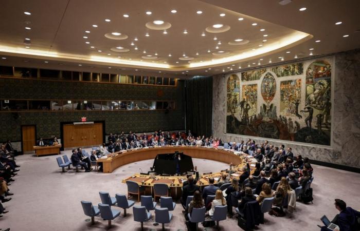 A seat at the UN table: Indonesia steps up push for 2029–2030 Security Council term