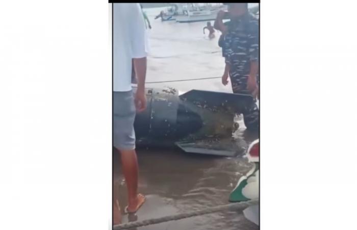 Mystery torpedo-like device found in Indonesian waters sparks navy probe