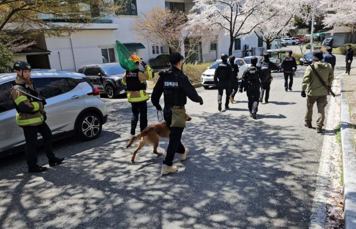 Escaped wolf prompts school closure in South Korea