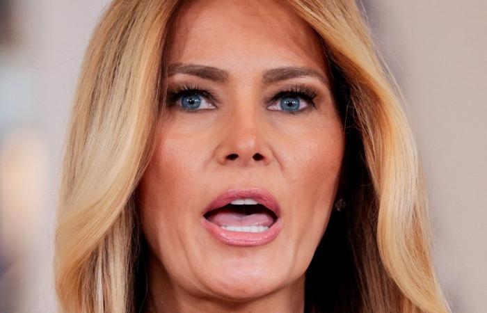 Melania Trump’s Epstein remarks underscore rare public role of ‘unknowable’ first lady (VIDEO)