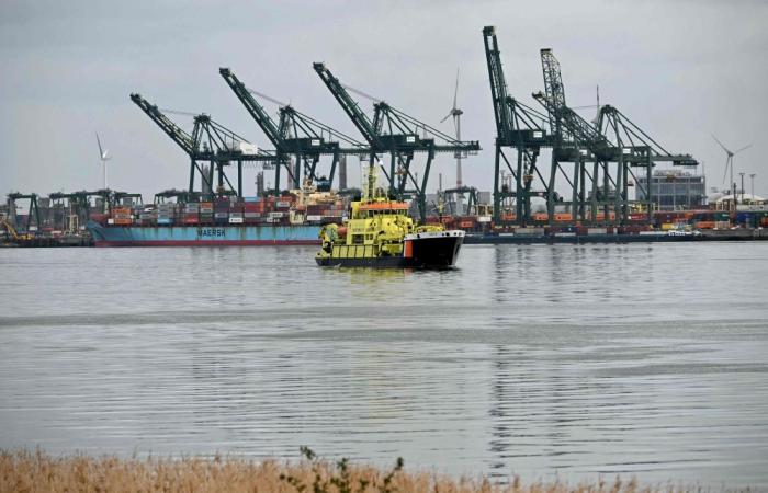 Europe’s second-biggest port Antwerp grinds to halt after oil spill blocks key shipping route