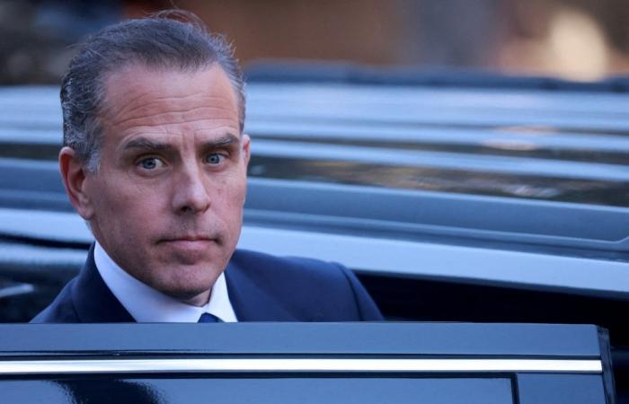 Biden vs Trump — but make it MMA: Hunter challenges Donald Jr, Eric to cage fight