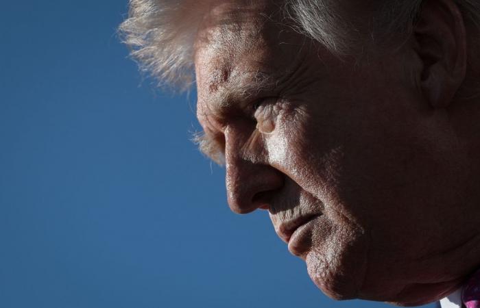 Trump backs Orban in Hungary election, vows US economic support if nationalist leader wins