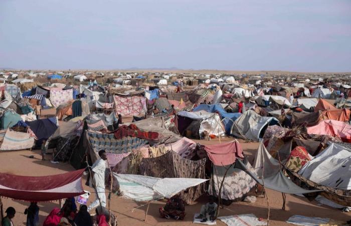 ‘World not outraged’: UN warns Sudan atrocities met with silence