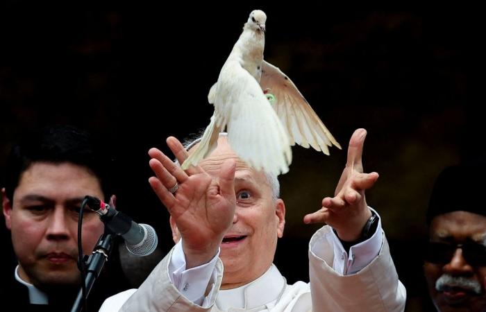 Pope Leo warns of world ‘ravaged by tyrants’ during visit to Cameroon amid renewed attacks from Trump