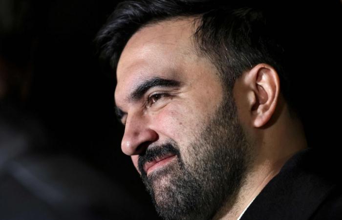 New York mayor condemns police beating video as investigation into viral clip begins