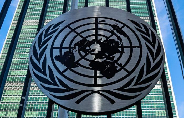 ‘Save humanity’: Race to lead embattled UN heats up as four hopefuls enter public hearings