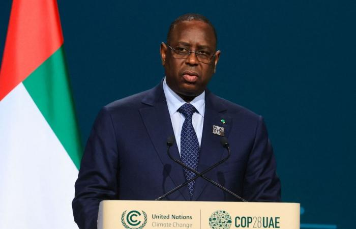 ‘Save humanity’: Race to lead embattled UN heats up as four hopefuls enter public hearings