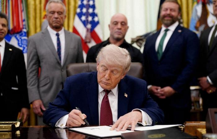 Magic‑mushroom therapies: What research shows as Trump seeks faster review of psychedelic treatments