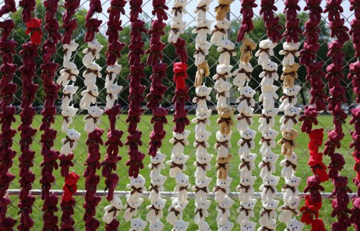 Teddy bears in Washington highlight plight of Ukrainian children Kyiv says were taken by Russia