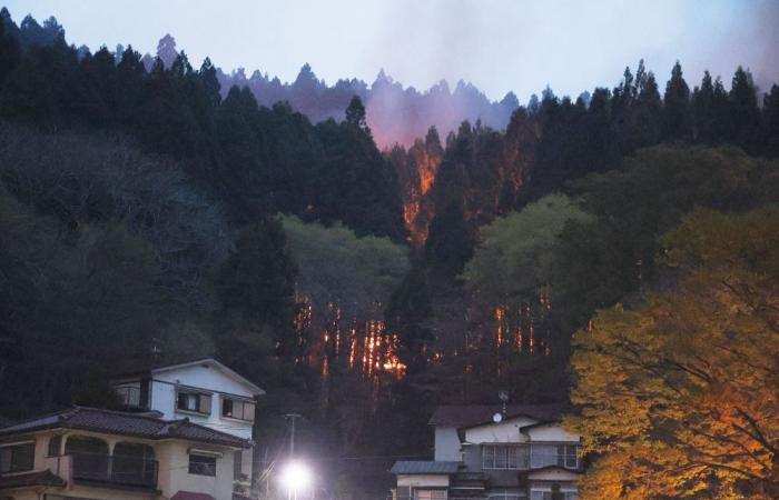 Japan’s Iwate wildfires force over 3,000 to evacuate as firefighters struggle to contain blazes