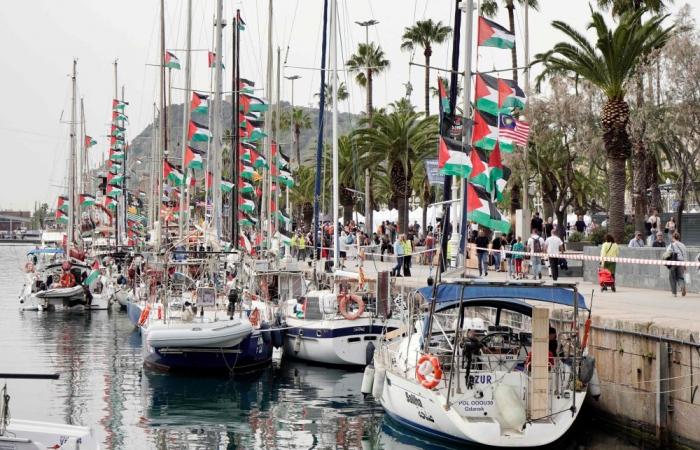 ‘Piracy’: Israel intercepts second Global Sumud Flotilla bringing Gaza aid