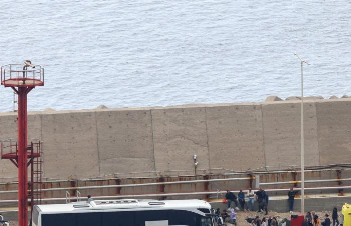 Dozens of Gaza‑bound aid activists arrive in Greece after Israeli forces halt flotilla at sea