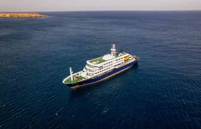 WHO says two hantavirus cases confirmed, five suspected on cruise ship